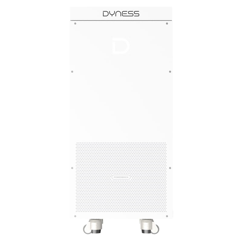 Аккумуляторная батарея с подогревом Dyness PowerBrick 14.34KWH 51.2V 280AH