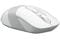 Фото - Мышь беспроводная A4Tech FG10 White USB | click.ua