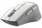 Фото - Мышь беспроводная A4Tech FG30S Grey/White | click.ua
