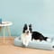 Фото - Лежак для котов и собак Petkit Four Season Sleep Bed Large (P7110 L) | click.ua