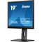 Фото - Монітор Iiyama 19" ProLite B1980S-B1 TN Black | click.ua