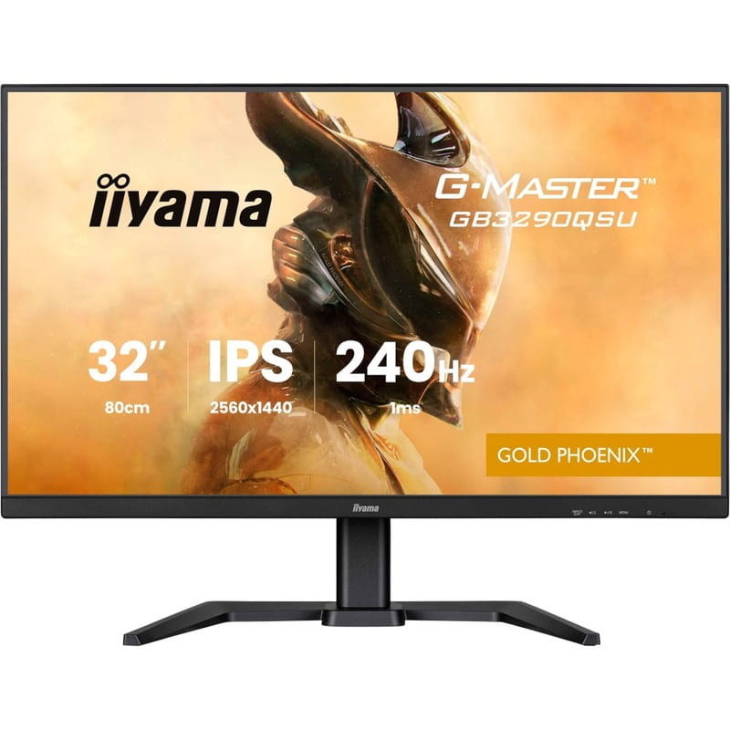 Монітор Iiyama 31.5" G-Master GB3290QSU-B1 IPS Black 240Hz