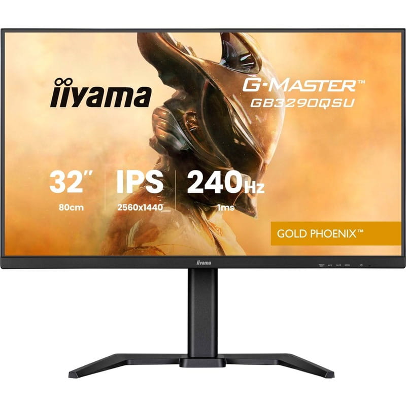 Монітор Iiyama 31.5" G-Master GB3290QSU-B1 IPS Black 240Hz