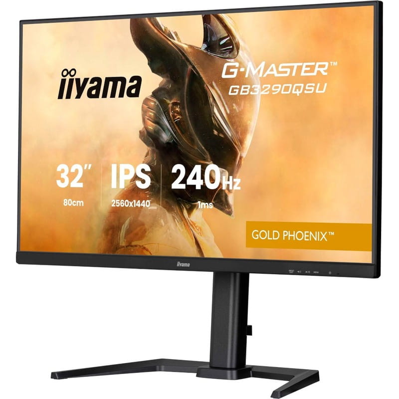 Монітор Iiyama 31.5" G-Master GB3290QSU-B1 IPS Black 240Hz