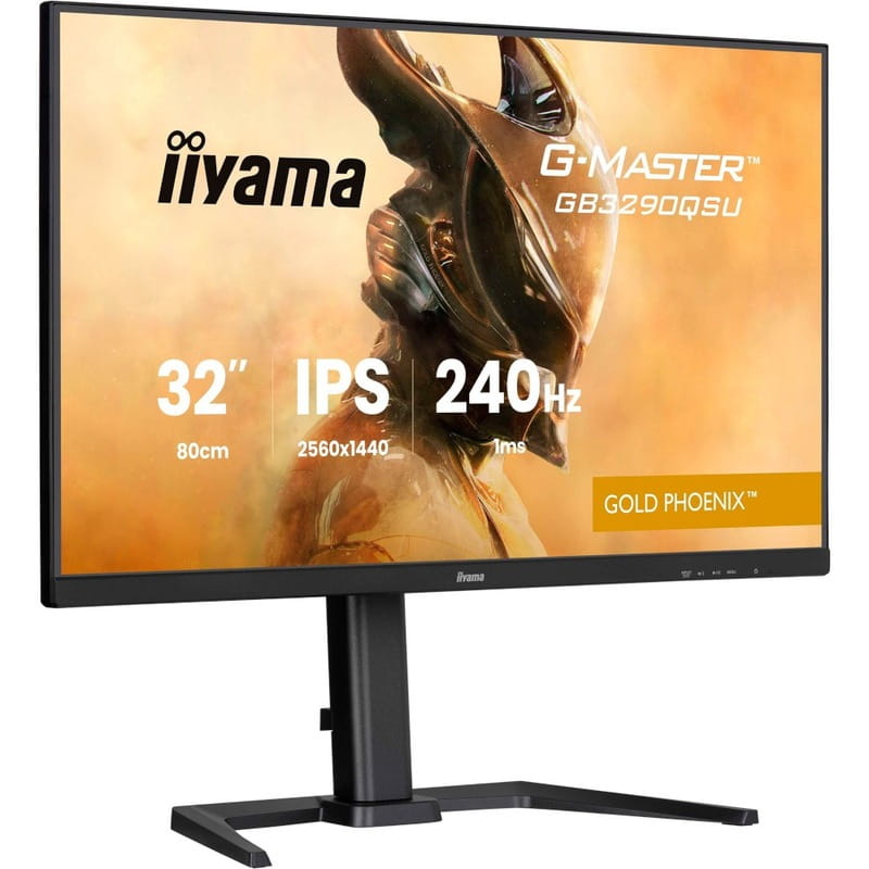 Монітор Iiyama 31.5" G-Master GB3290QSU-B1 IPS Black 240Hz