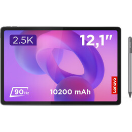 Планшет Lenovo Idea Tab Plus TB361FU 8/256GB Luna Grey + Pen (ZAG70055UA)