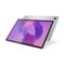 Фото - Планшет Lenovo Idea Tab Plus TB361FU 8/256GB Cloud Grey + Pen (ZAG70268UA) | click.ua