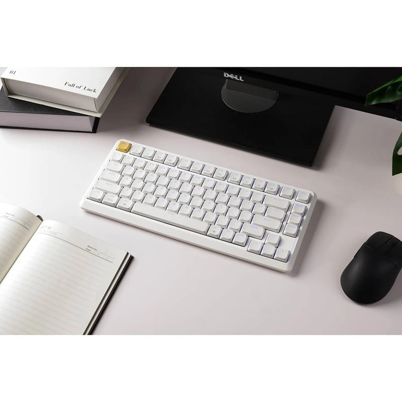 Клавіатура бездротова Keychron J1, K Pro Brown, Hot-Swap, RGB White (J1-Q3-UA)