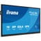 Фото - Дисплей 75" Iiyama ProLite TE7513A-B1AG IPS Black | click.ua