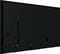 Фото - Дисплей Iiyama 64.5" ProLite LH6560UHS-B2AG VA Black | click.ua