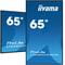 Фото - Дисплей Iiyama 64.5" ProLite LH6560UHS-B2AG VA Black | click.ua
