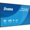 Фото - Дисплей 65" Iiyama ProLite LH6564UHS-B1AG VA Black | click.ua