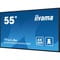 Фото - Дисплей 54.6" Iiyama ProLite LH5560UHS-B2AG VA Black | click.ua