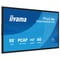 Фото - Дисплей 54.6" Iiyama ProLite T5529AS-B1AG VA Black | click.ua