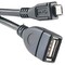 Фото - Кабель PowerPlant (KD00AS1232) USB2.0(AF)-MicroUSB(AM), OTG, 0.1м, Black | click.ua