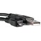 Фото - Кабель PowerPlant (KD00AS1218) USB2.0(AM)-MicroUSB(AM), 0.5м, Black | click.ua
