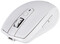 Фото - Миша Bluetooth Logitech MX Anywhere 2S (910-005155) Light Gray | click.ua