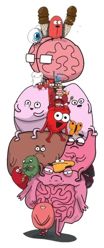 Настольная игра Lord of Boards Органы Атакуют! (LOB2314UA)