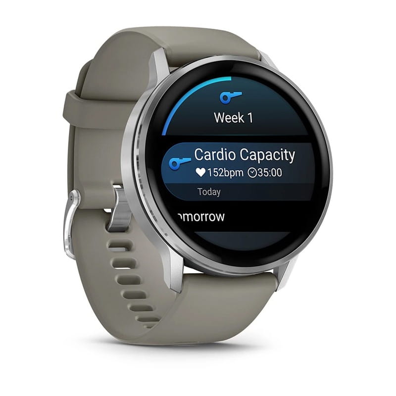 Смарт-часы Garmin Venu 4 45mm Silver with Siliver Gray Silicone (010-03014-41)
