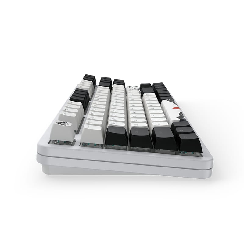 Клавиатура Dark Project ALU87 Fuji V2 (DPKB_FUJI_87_ANSI_UA)