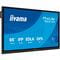 Фото - Дисплей 65" Iiyama ProLite TE6513A-B1AGG IPS Black | click.ua
