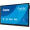 Фото - Дисплей 65" Iiyama ProLite TE6513A-B1AGG IPS Black | click.ua