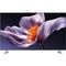 Фото - Телевизор Xiaomi TV S Pro Mini LED 55 | click.ua