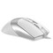 Фото - Мышь A4Tech Fstyler FM50 Plus White | click.ua
