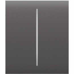 Кнопка центральная для двухклавишного выключателя Ajax CenterButton 2-gang for LightSwitch, Jeweler Grey