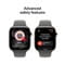 Фото - Смарт-годинник Apple Watch Series 11 GPS + Cellular 46mm Natural Titanium Case with Stone Grey Sport Band - M/L (MFCX4RK/A) | click.ua