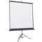 Фото - Проекционный экран Atria 60" (121x91, 4:3) (TRM-NTSC-60D) | click.ua
