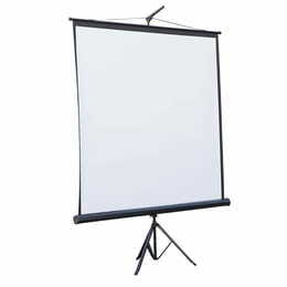 Проекционный экран Atria 120" (244x183, 4:3) (TRM-NTSC-120D)