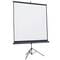 Фото - Проекционный экран Atria 110" (244x137, 16:9) (TRM-HD-110D) | click.ua