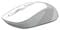 Фото - Миша бездротова A4Tech FG10S White USB | click.ua