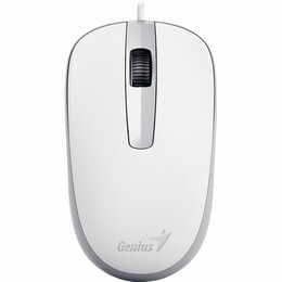 Мышь Genius DX-120 White (31010105102)