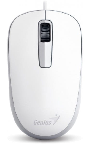 Мишка Genius DX-125 White (31010106102)