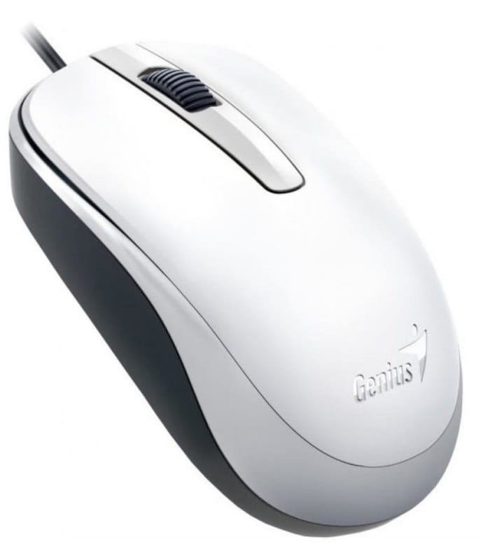 Мишка Genius DX-125 White (31010106102)