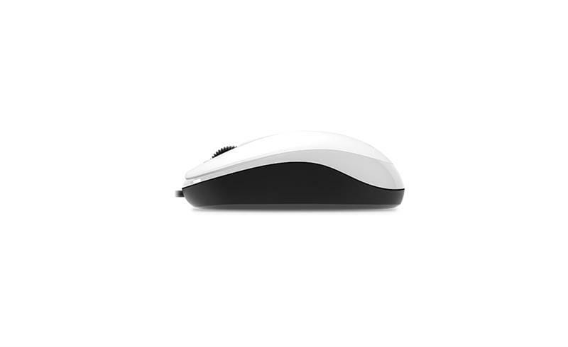 Мишка Genius DX-125 White (31010106102)