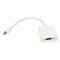 Фото - Адаптер PowerPlant (KD00AS1281) miniDisplayPort-VGA, 0.15м, White | click.ua