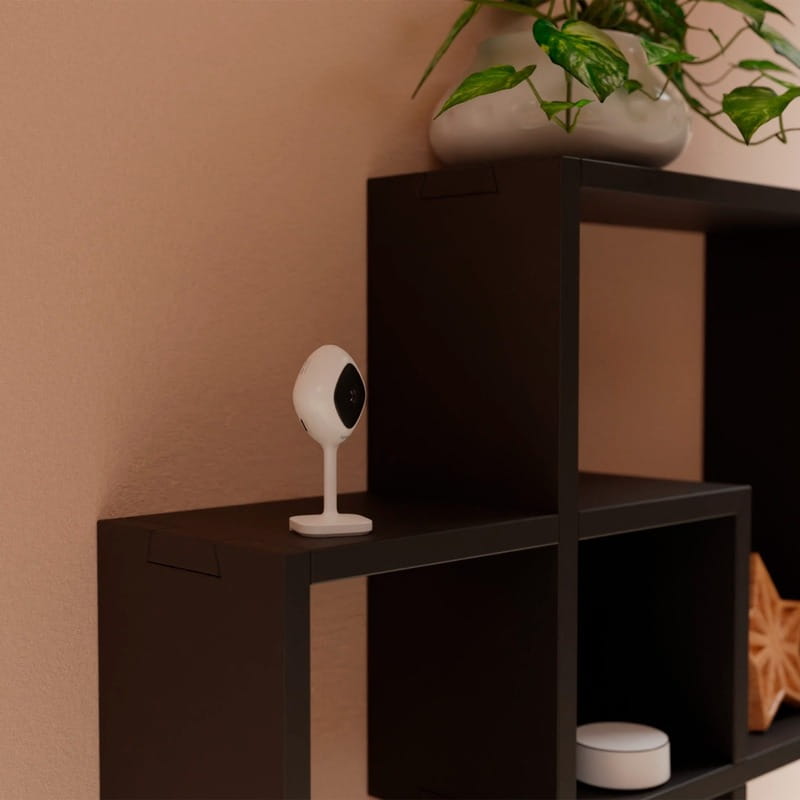 IP-камера Tesla Smart Camera Mini 2022 (TSL-CAM-MINI22S)