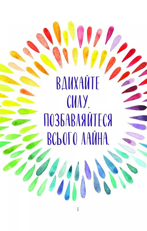 Поймай дзен. Дневник для упражнения в искусстве не считаться ни с чем / Моника Суини