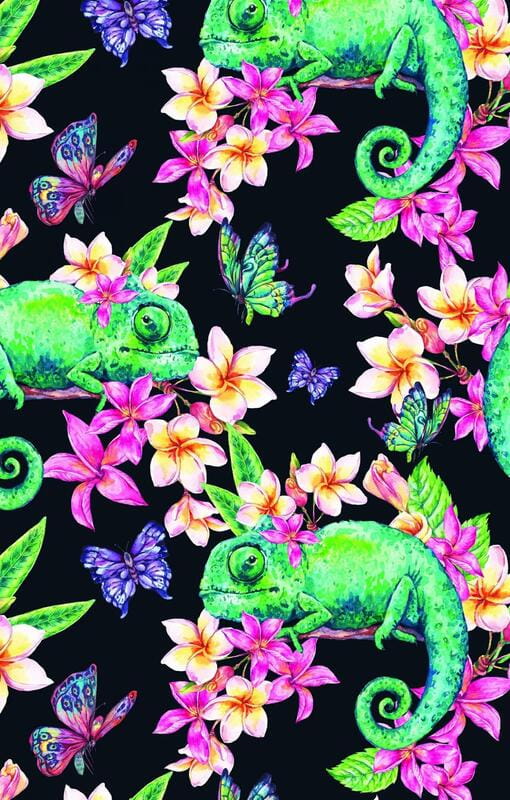 Поймай дзен. Дневник для упражнения в искусстве не считаться ни с чем / Моника Суини