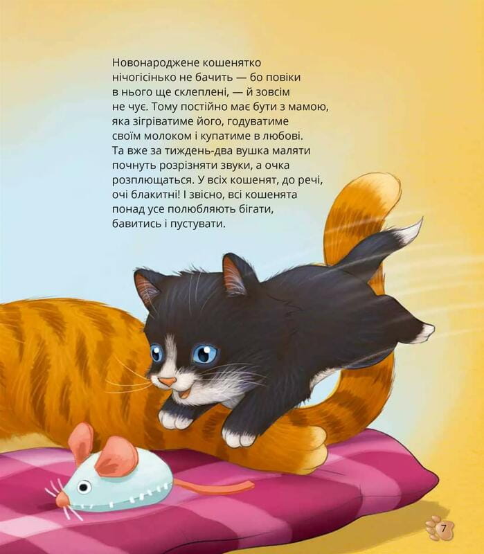 Самые милые малыши животных / Алехандро Альгара