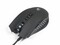 Фото - Мышь A4Tech Q81 Bloody Neon XGlide Black USB | click.ua