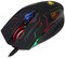 Фото - Миша Bloody Q50 Battlefield Black | click.ua