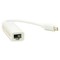 Фото - Адаптер PowerPlant USB Type-C - RJ45 (M/F), 0.12 м, White (DV00DV4067) | click.ua