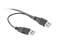 Фото - Адаптер Cablexpert USB - Slim SATA II (M/M), 0.5 м, черный (A-USATA-01) | click.ua