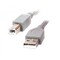 Фото - Кабель Cablexpert USB -  USB Type-B V 2.0 (M/M), 1.8 м, серый (CCP-USB2-AMBM-6G) | click.ua