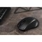 Фото - Мышь беспроводная 2E MF213 WL Black (2E-MF213WB) | click.ua