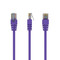 Фото - Патч-корд UTP Cablexpert (PP12-0.25M/V) літий, 50u "штекер із засувкою, 0.25 м, фіолетовий | click.ua